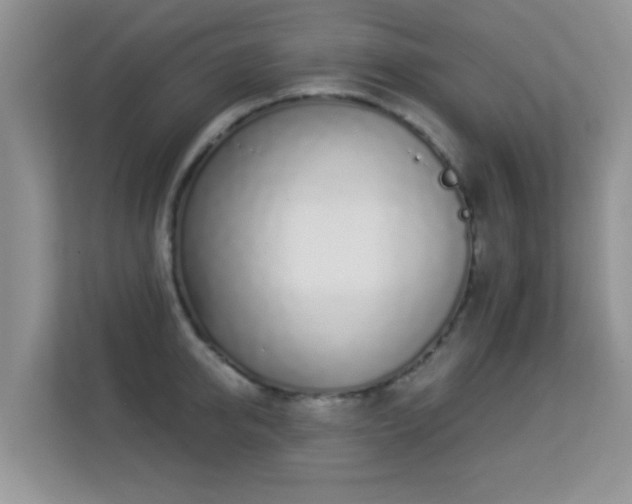 X0000113530950200909250903