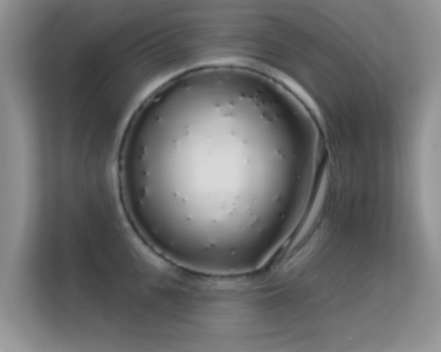 X0000113530951200909250903