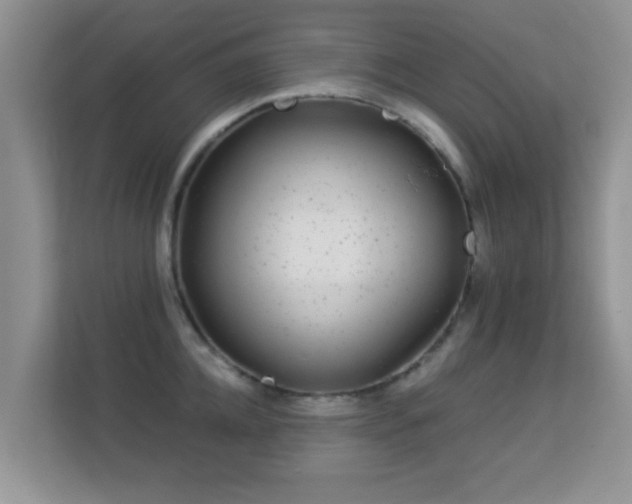 X0000113530952200909250903