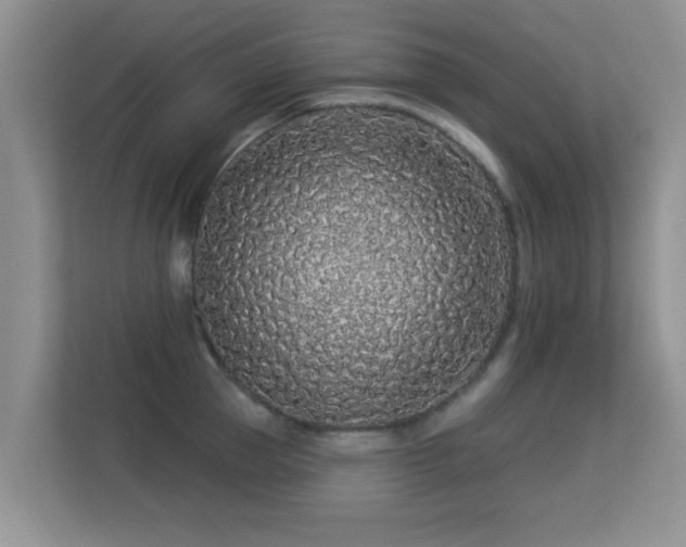 X0000113530953200909250903