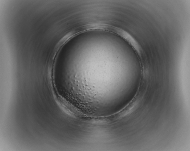 X0000113530954200909250903