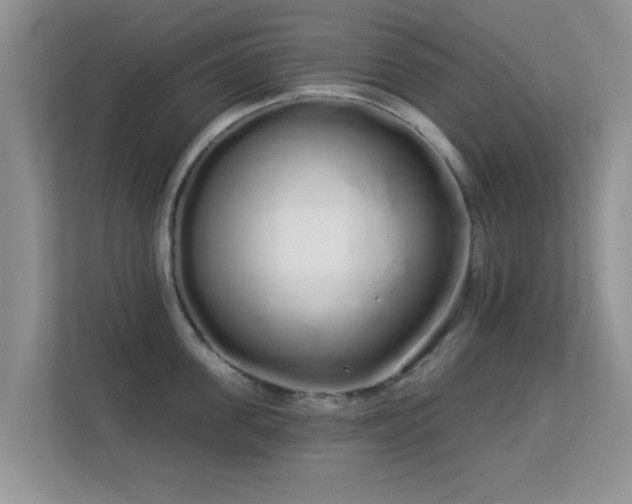 X0000113530955200909250903