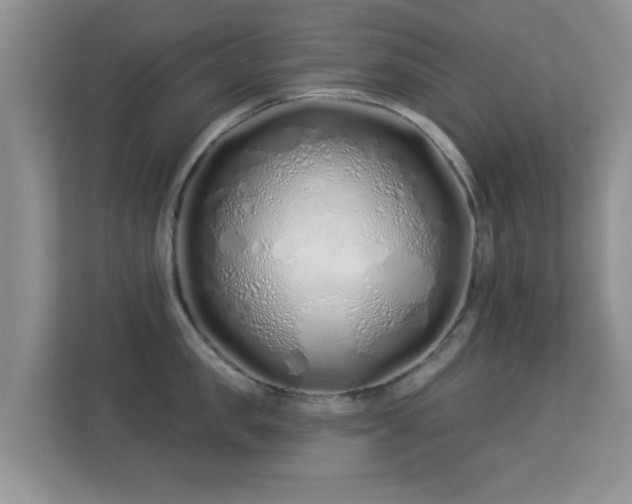 X0000113530957200909250903