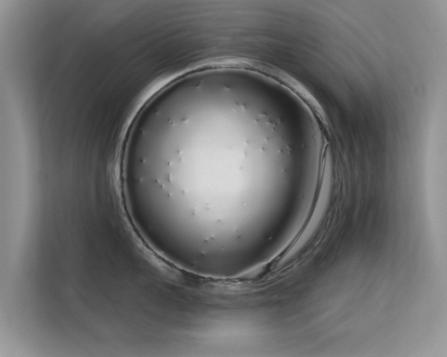 X0000113530959200909250903