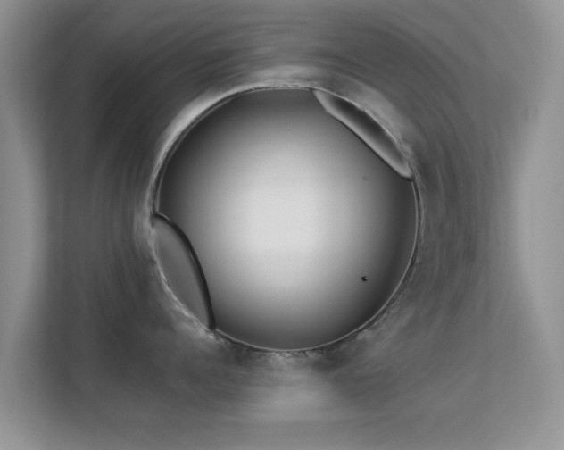 X0000113530960200909250903