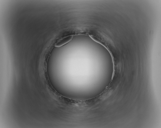 X0000113530961200909250903