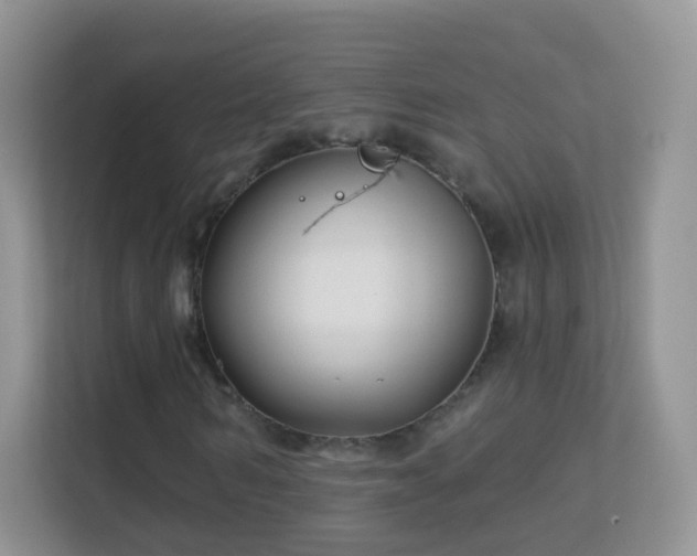 X0000113530962200909250903