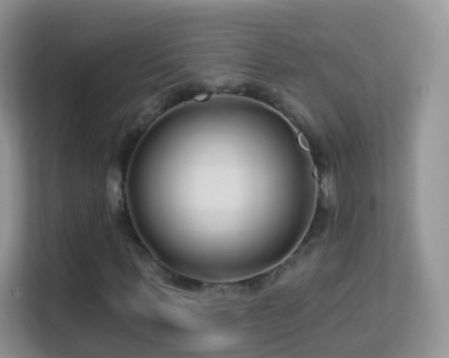 X0000113530963200909250903