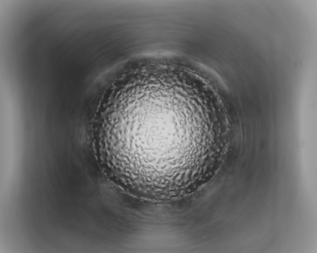 X0000113530966200909250902