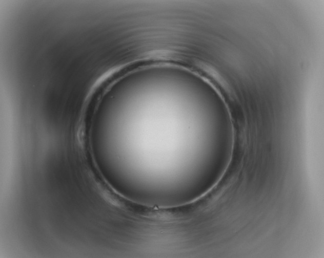 X0000113530971200909250902