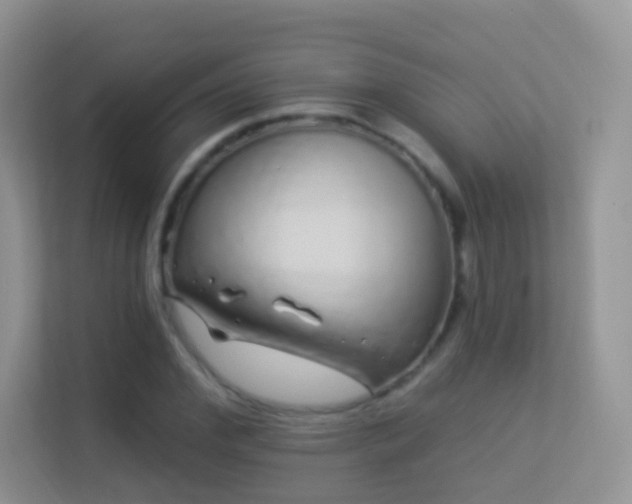 X0000113530972200909250902