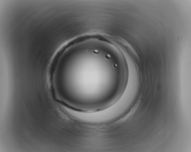 X0000113530973200909250902