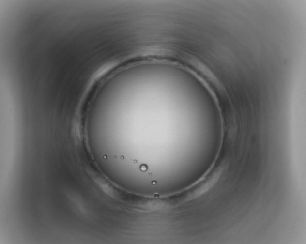 X0000113530974200909250902