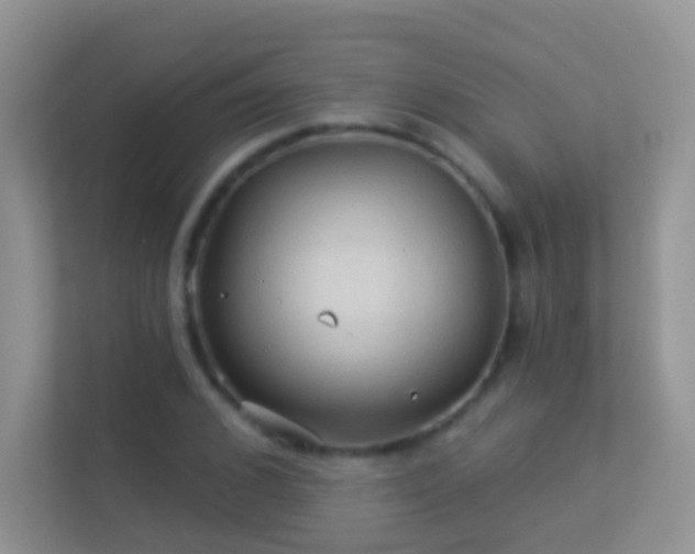 X0000113530976200909250902