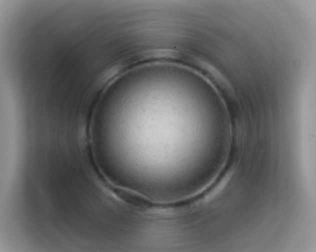 X0000113530977200909250902