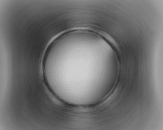 X0000113530980200909250902