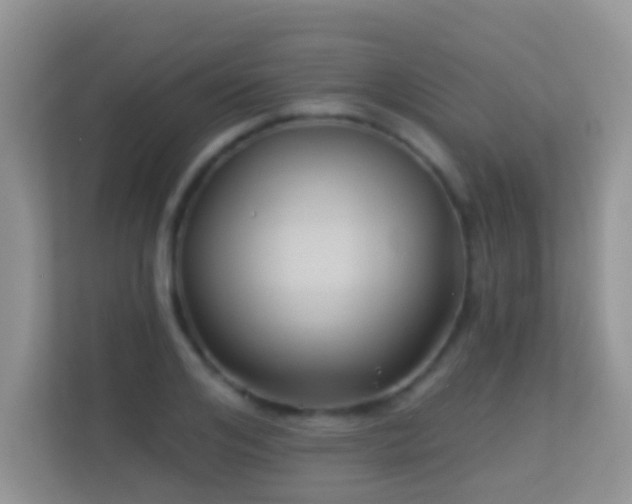 X0000113530984200909250902