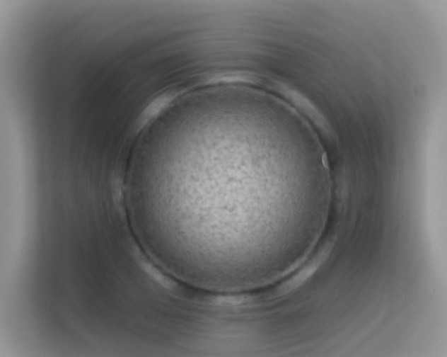 X0000113530985200909250902