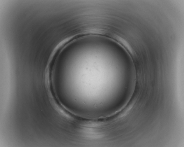 X0000113530987200909250902