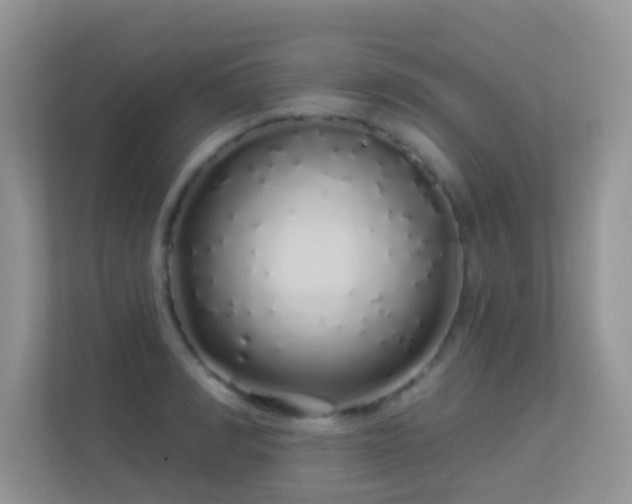 X0000113530990200909250902