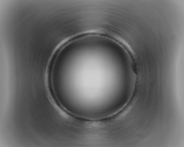 X0000113530991200909250902