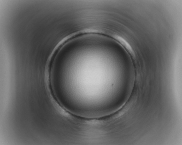 X0000113530992200909250902