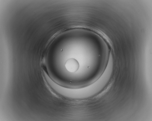 X0000113530993200909250902