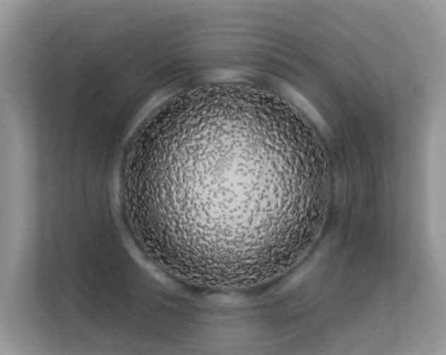 X0000113530994200909250902