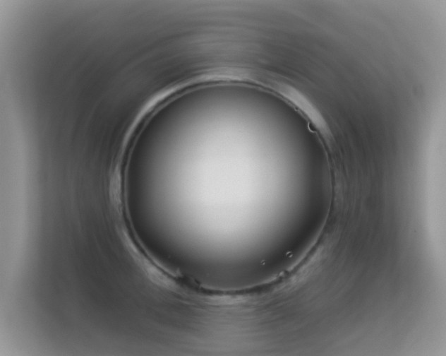 X0000113530996200909250902