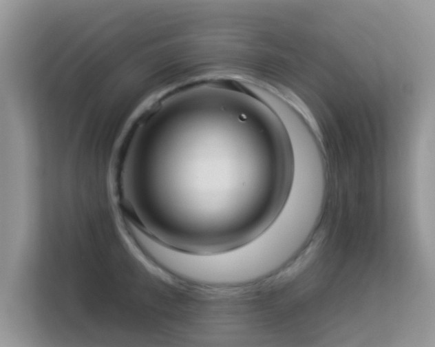 X0000113530997200909250902