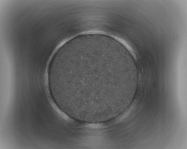 X0000113530998200909250902