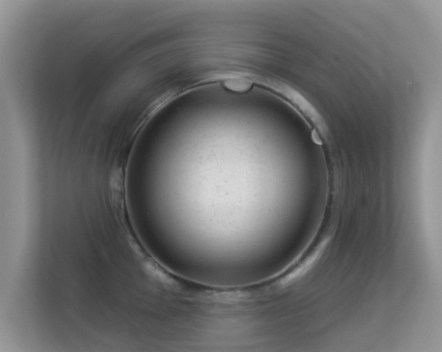 X0000113531001200909250902