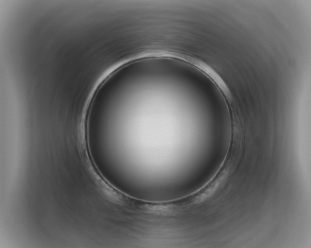 X0000113531004200909250902