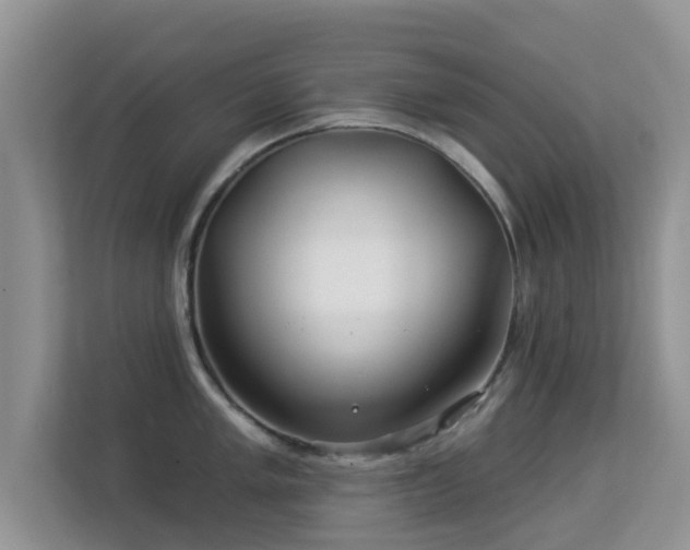 X0000113531005200909250902