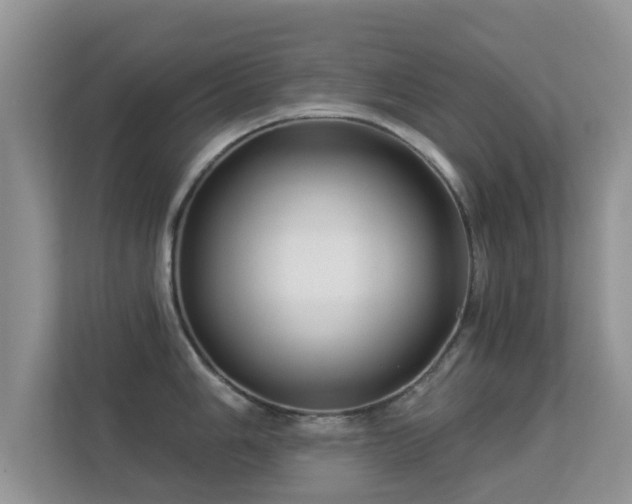 X0000113531006200909250902