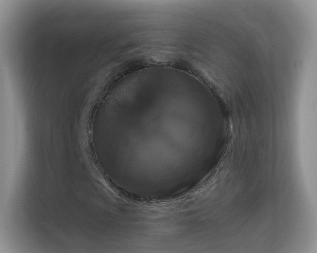 X0000113531009200909250901