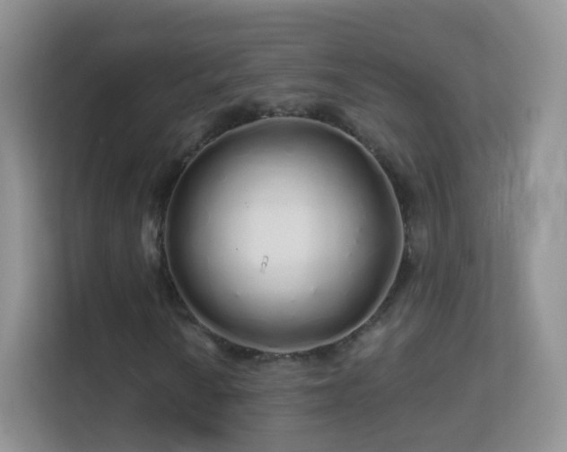 X0000113531010200909250901