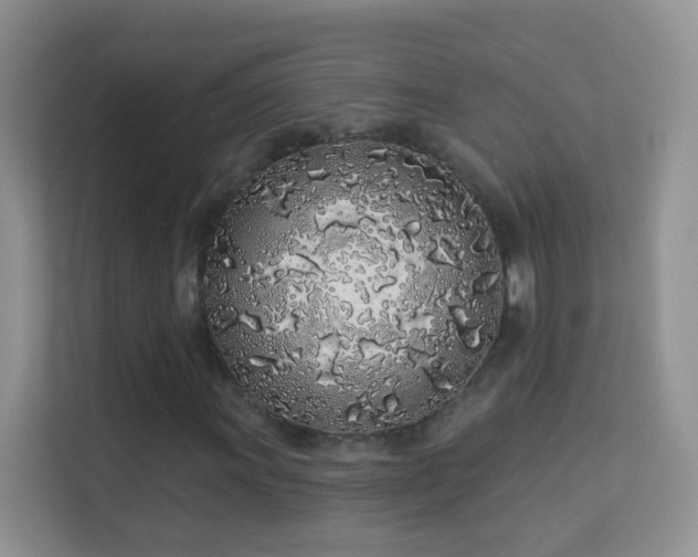 X0000113531011200909250901