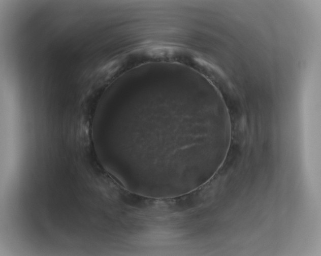 X0000113531013200909250901