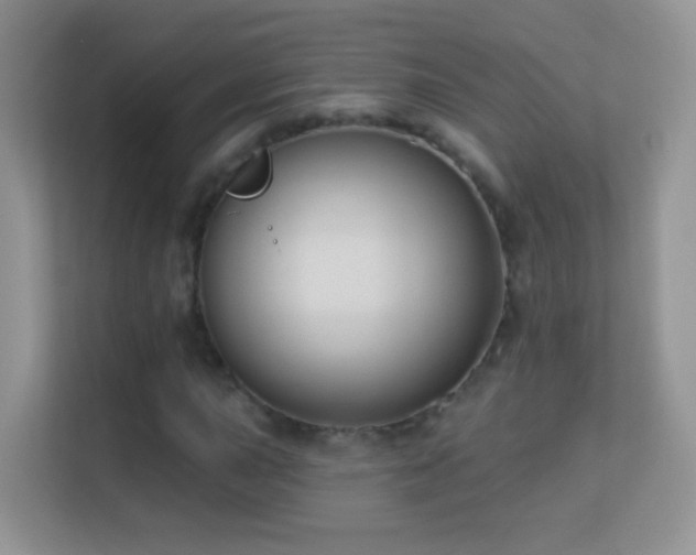 X0000113531015200909250901