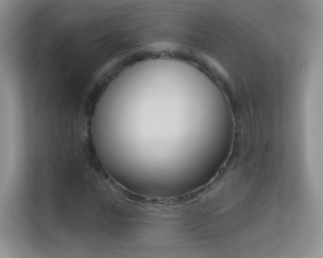 X0000113531016200909250901