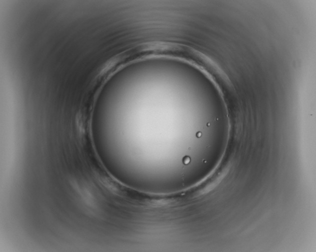 X0000113531017200909250901