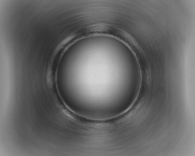 X0000113531018200909250901