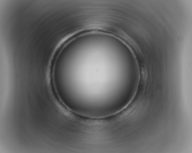 X0000113531020200909250901