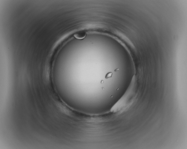 X0000113531021200909250901