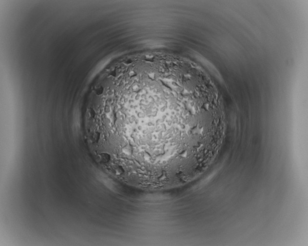 X0000113531023200909250901