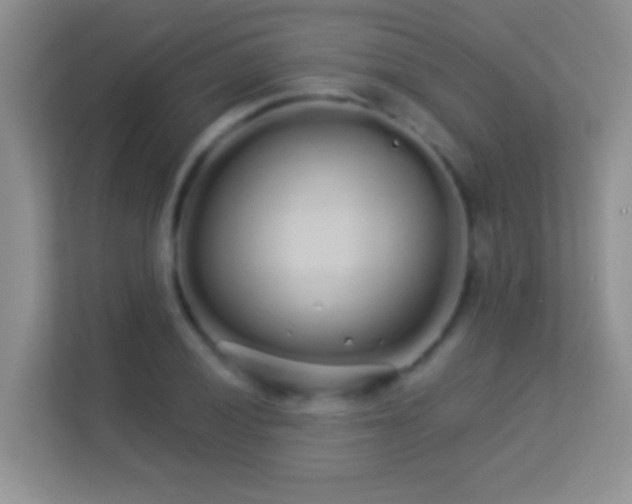 X0000113531028200909250902