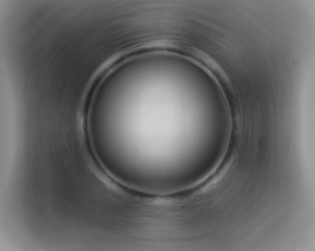 X0000113531029200909250902