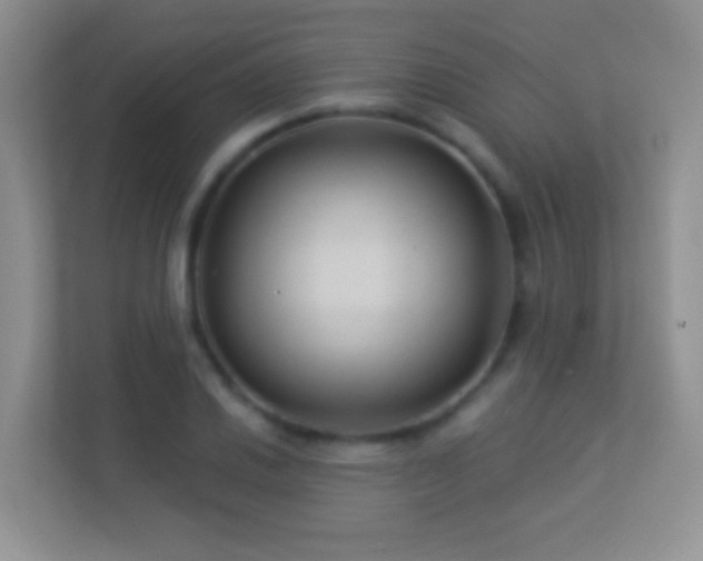 X0000113531030200909250902