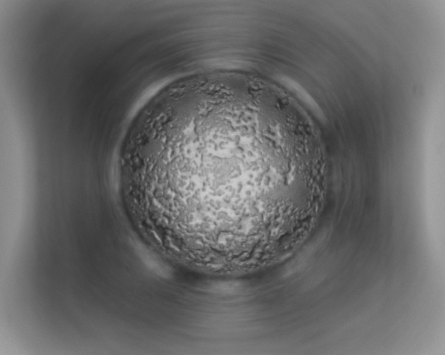 X0000113531031200909250902